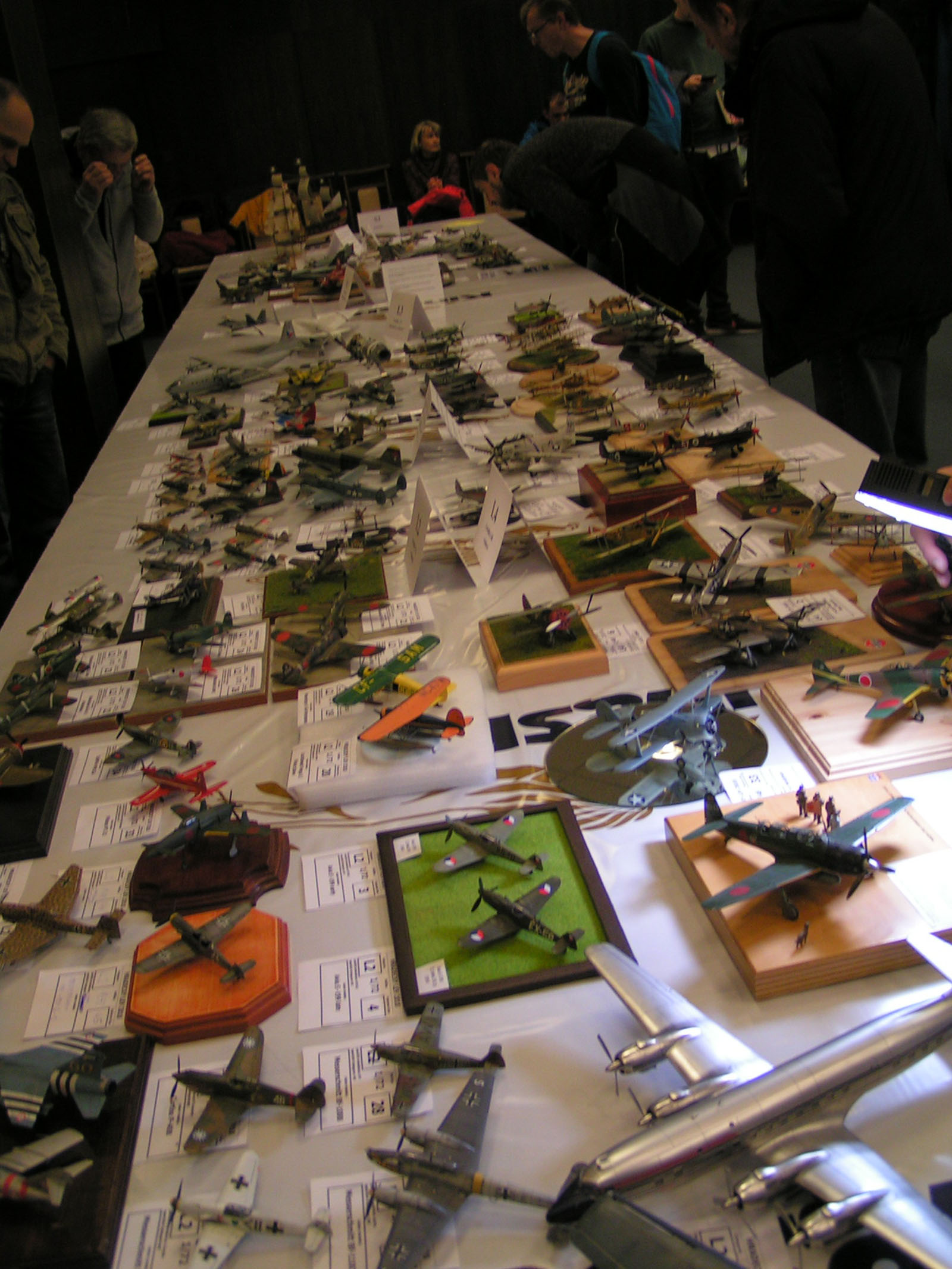 Hradecky Lev 2018 Contest Room Photo 024