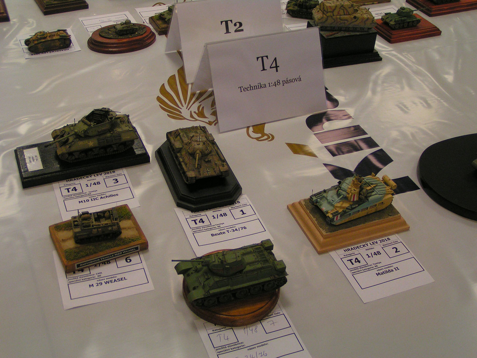 Hradecky Lev 2018 Contest Room Photo 033