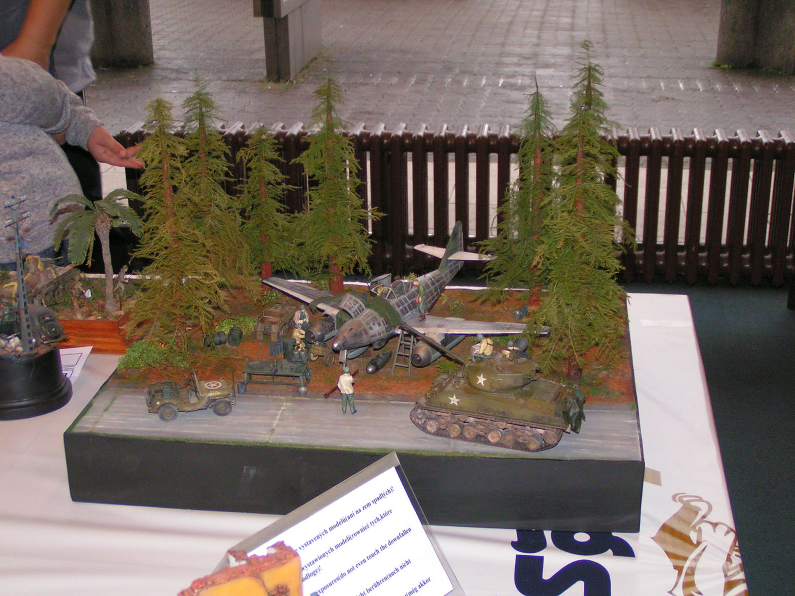 Hradecky Lev 2018 Contest Room Photo 034