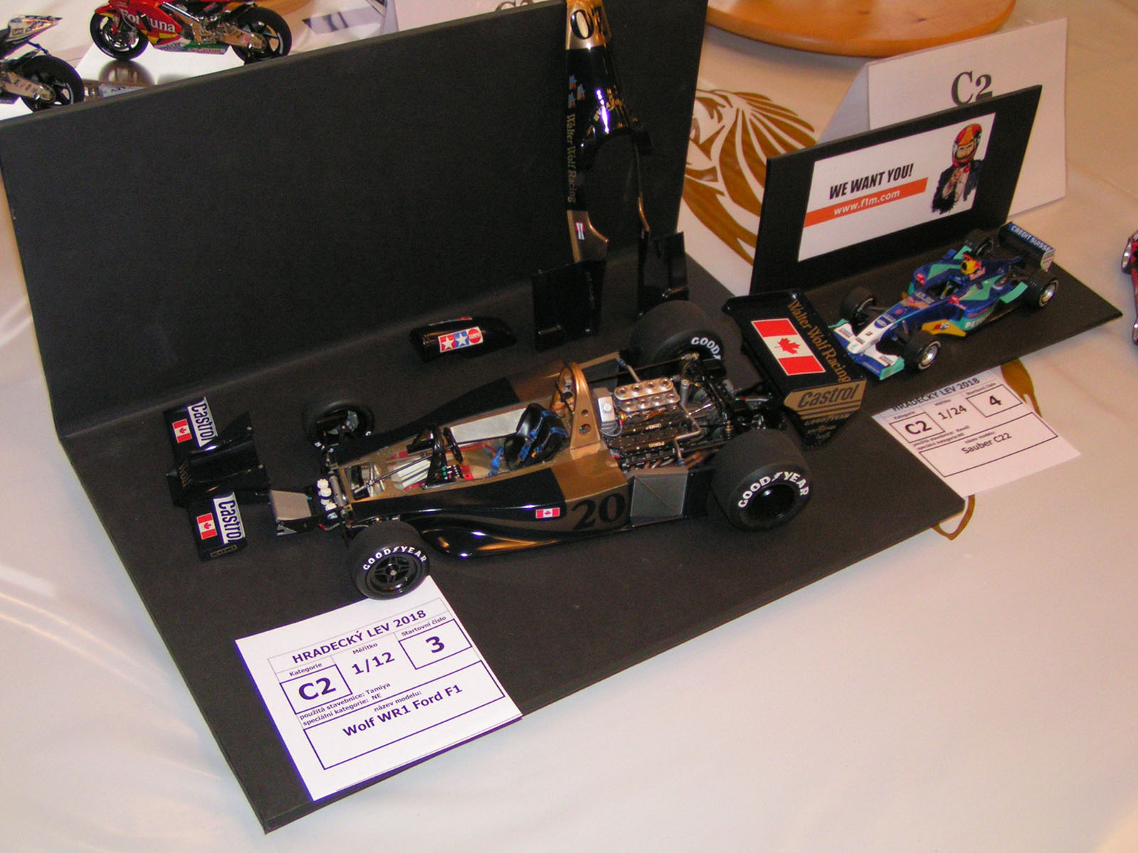 Hradecky Lev 2018 Contest Room Photo 042