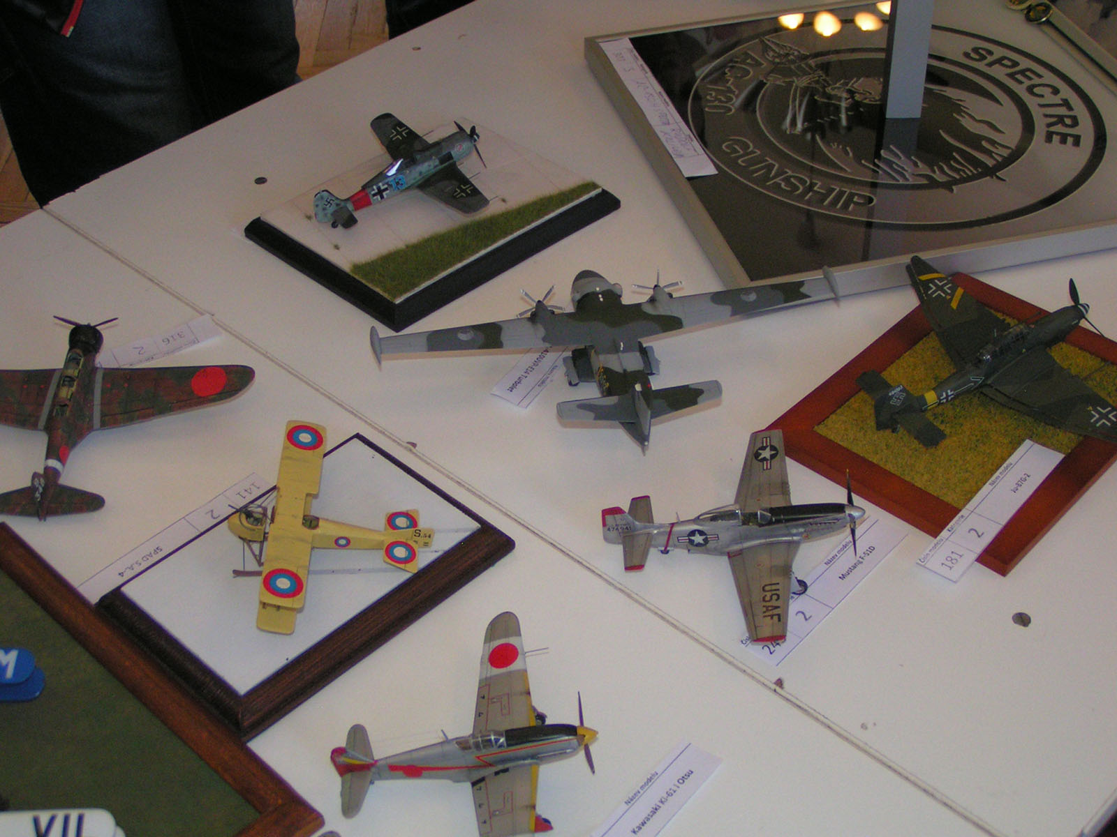 Malá pardubická 2017 Contest Room Photo 042