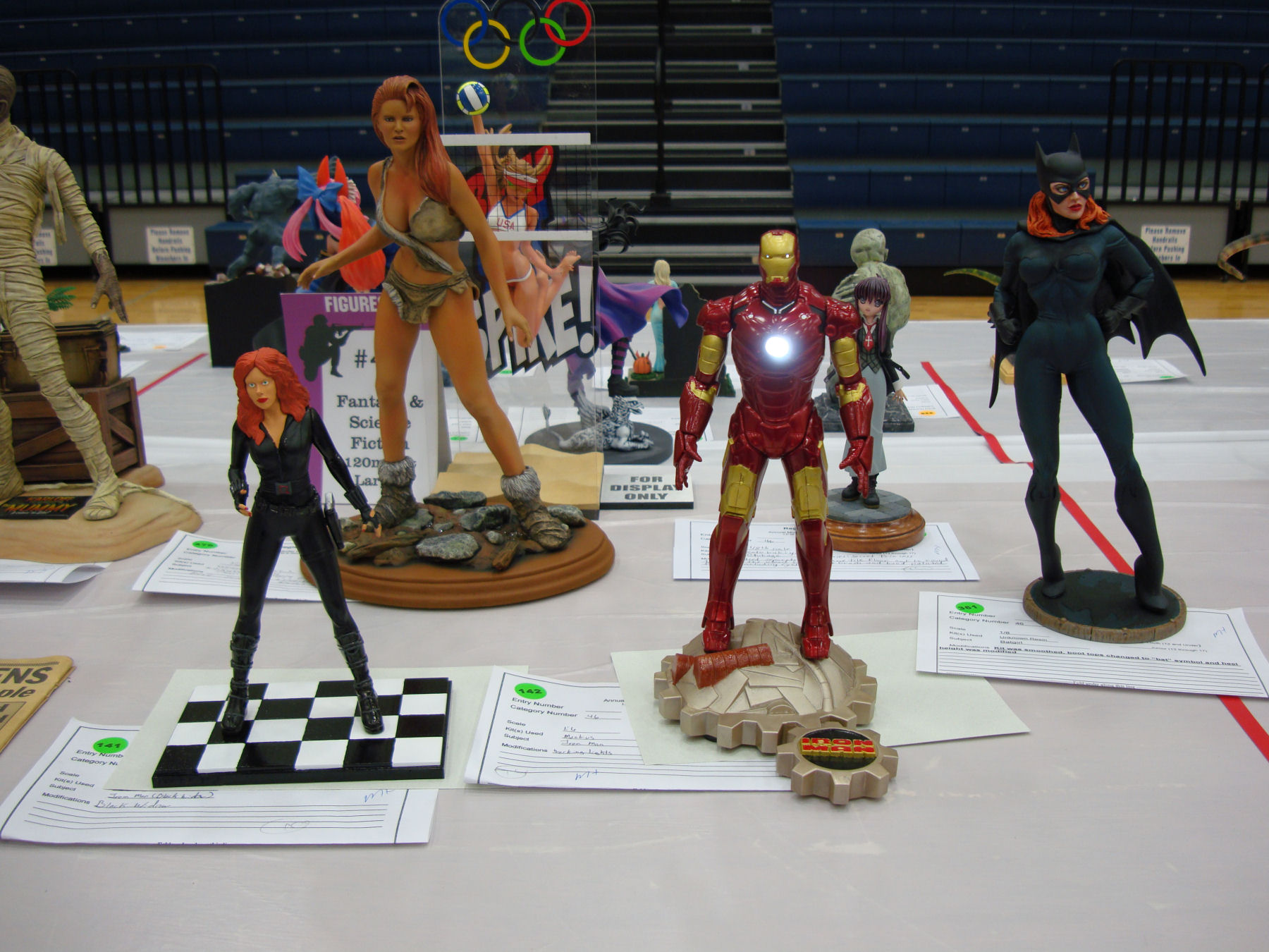 IPMS Roscoe Turner 2014 Contest Room Photo 128