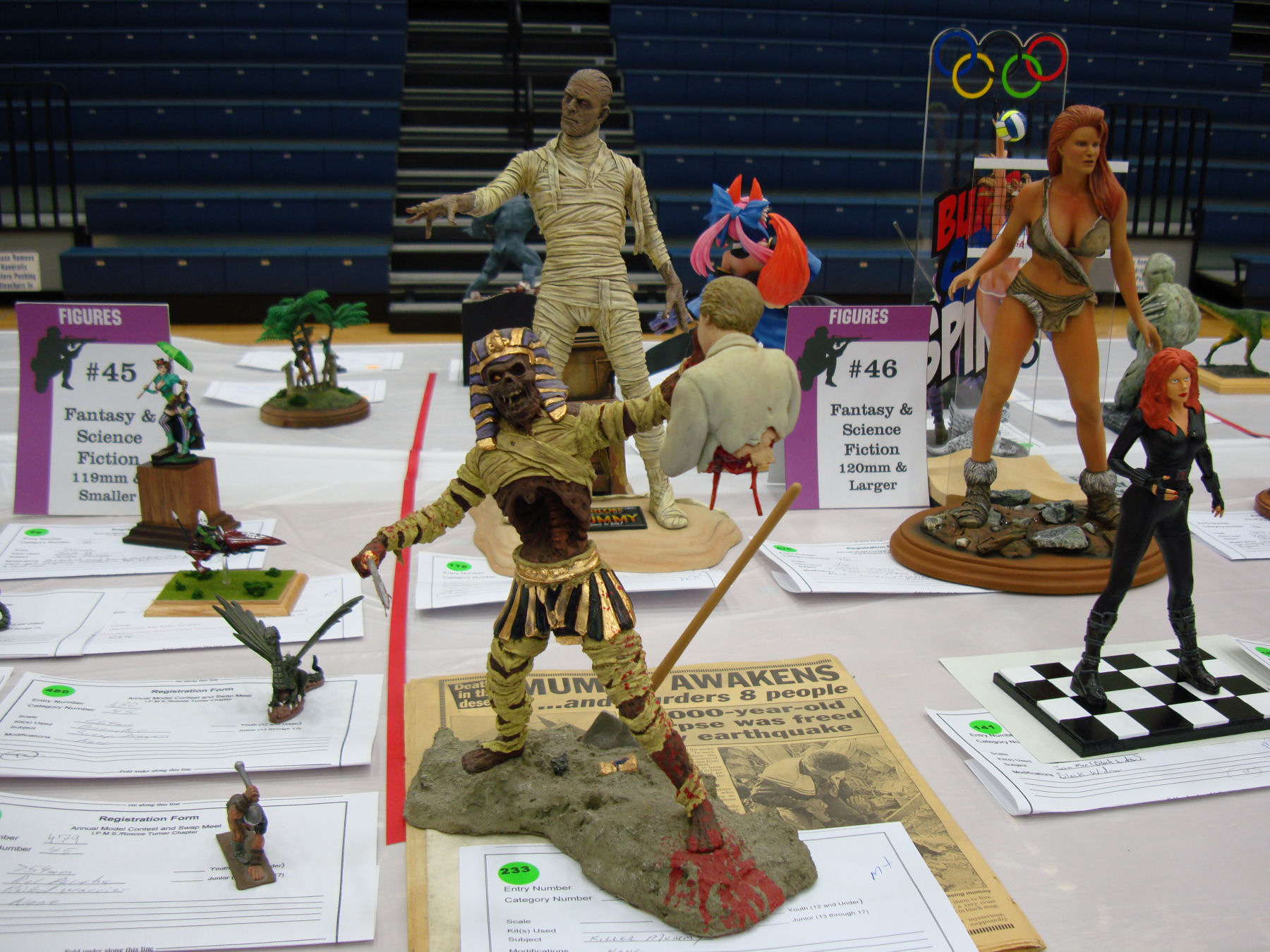 IPMS Roscoe Turner 2014 Contest Room Photo 129