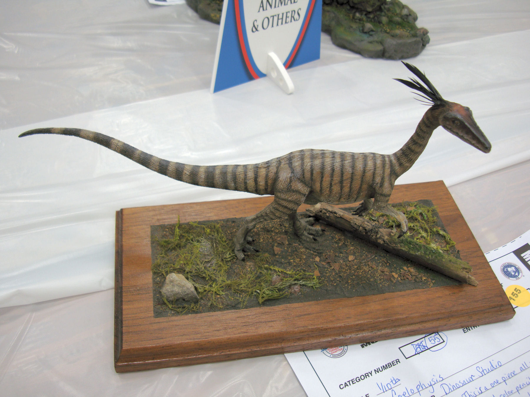 IPMS Roscoe Turner 2016 Contest Room Photo 192