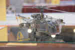 IPMS/USA 2010