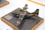 IPMS/USA 2010
