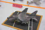 IPMS/USA 2010