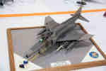 IPMS/USA 2010