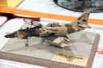 IPMS/USA 2010