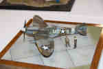 IPMS/USA 2010