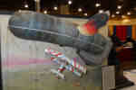 IPMS/USA 2010