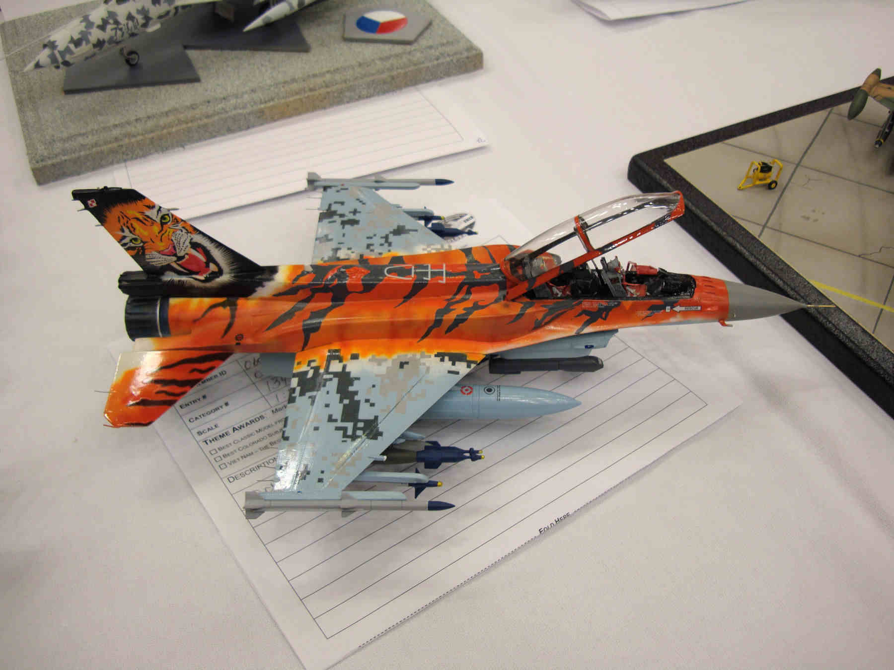IPMS/USA National Convention 2013 Contest Room Photo 117