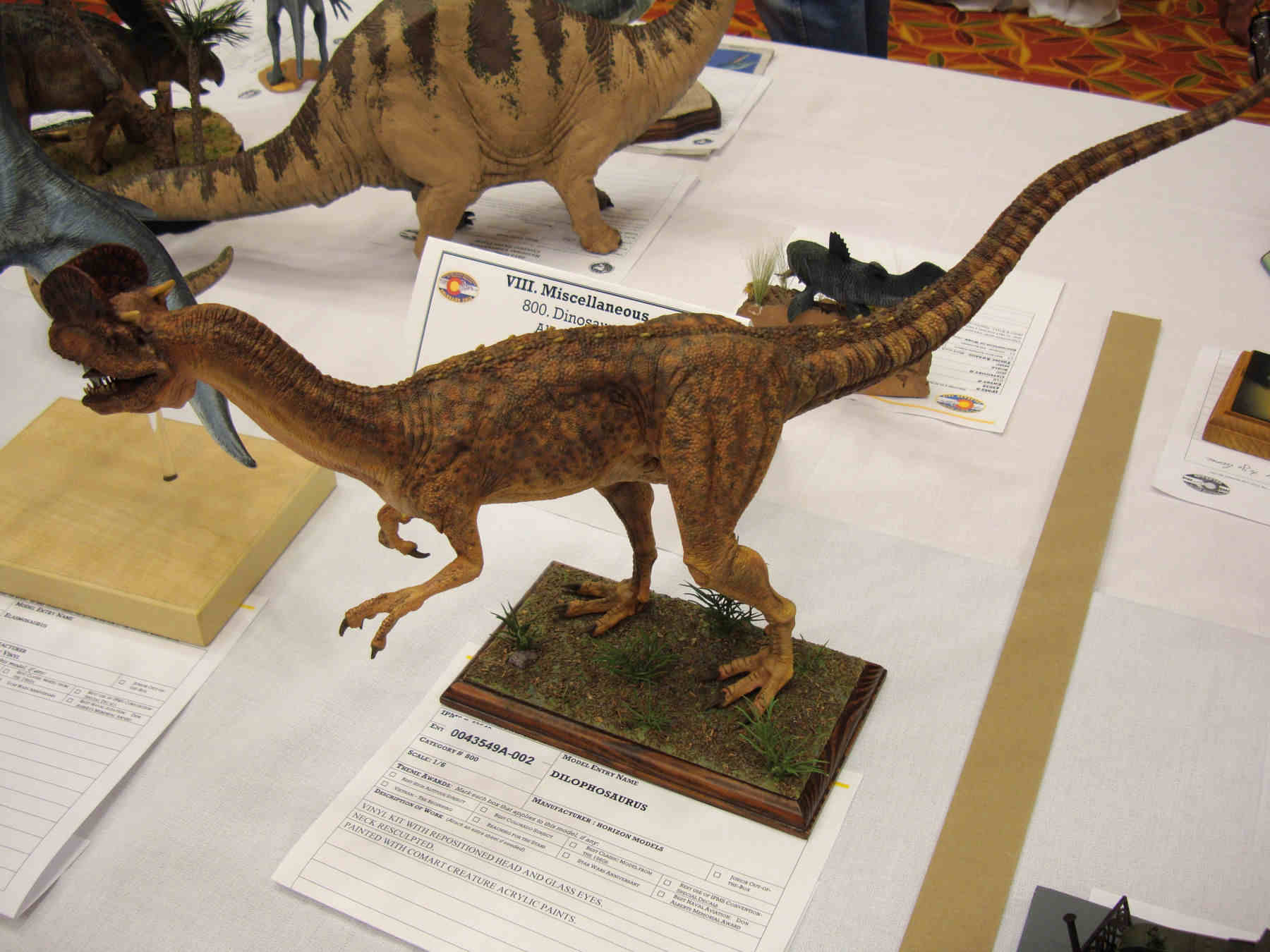 IPMS/USA National Convention 2013 Contest Room Photo 339