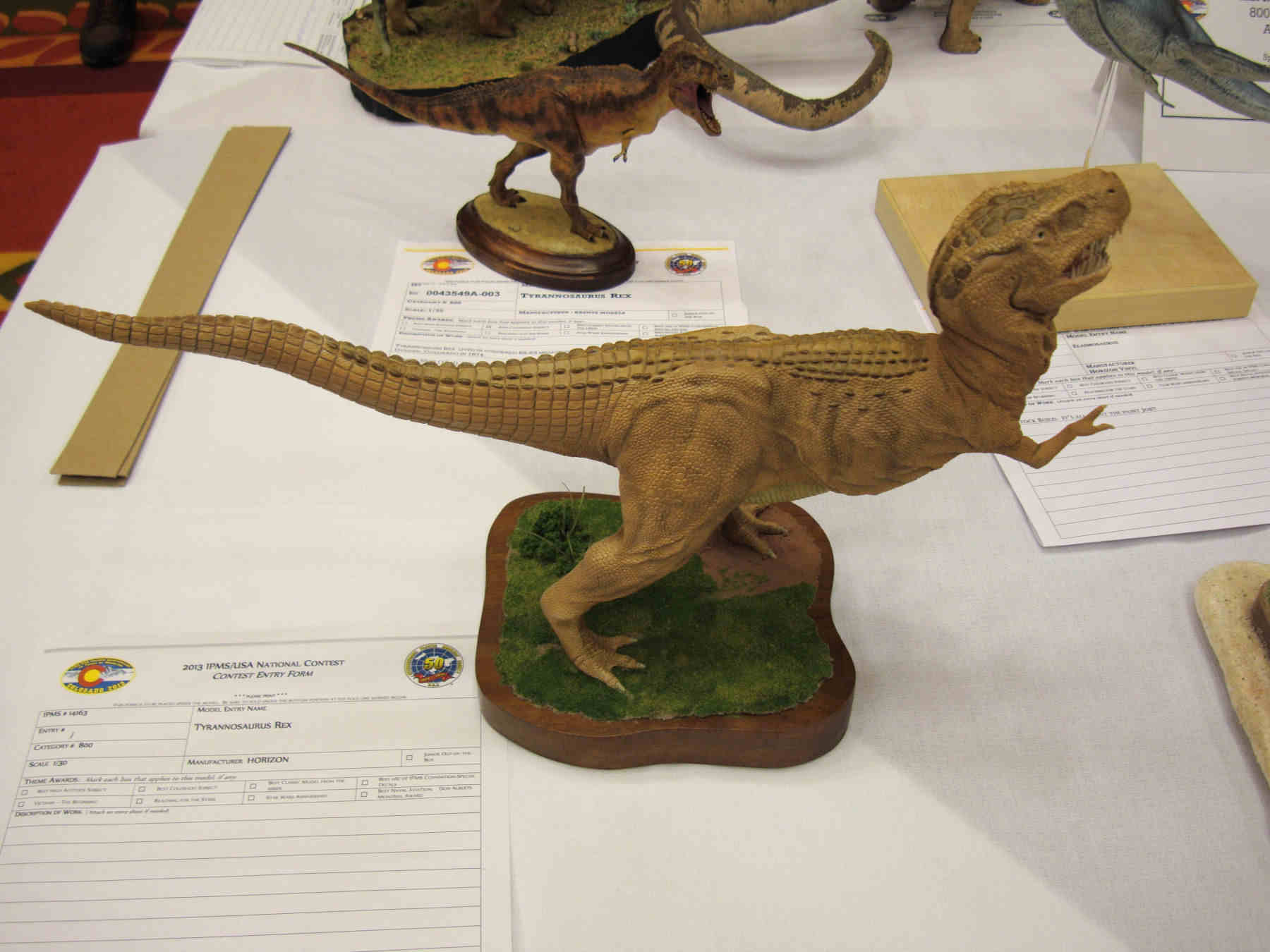 IPMS/USA National Convention 2013 Contest Room Photo 340