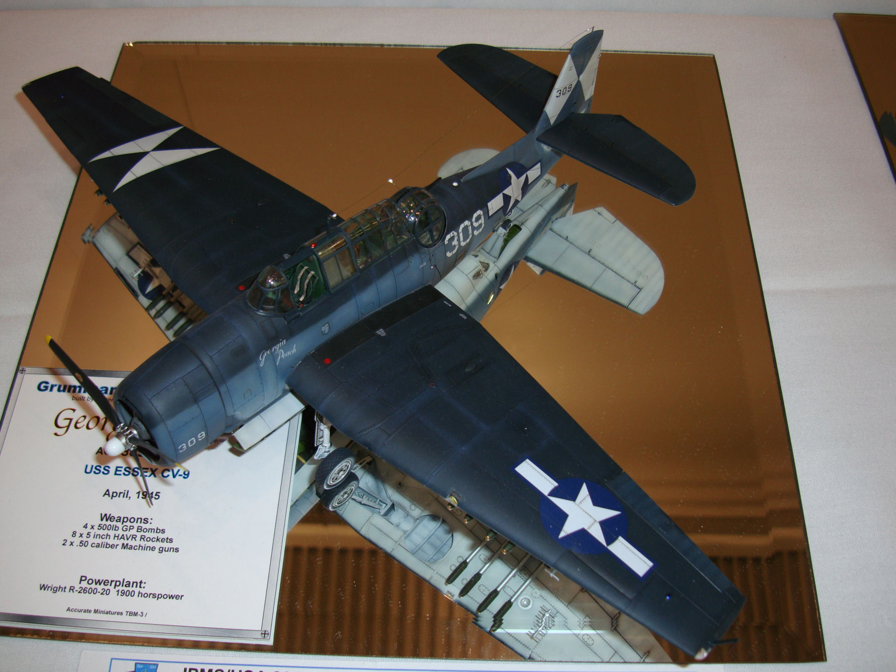IPMS/USA National Convention 2014 Contest Room Photo 096