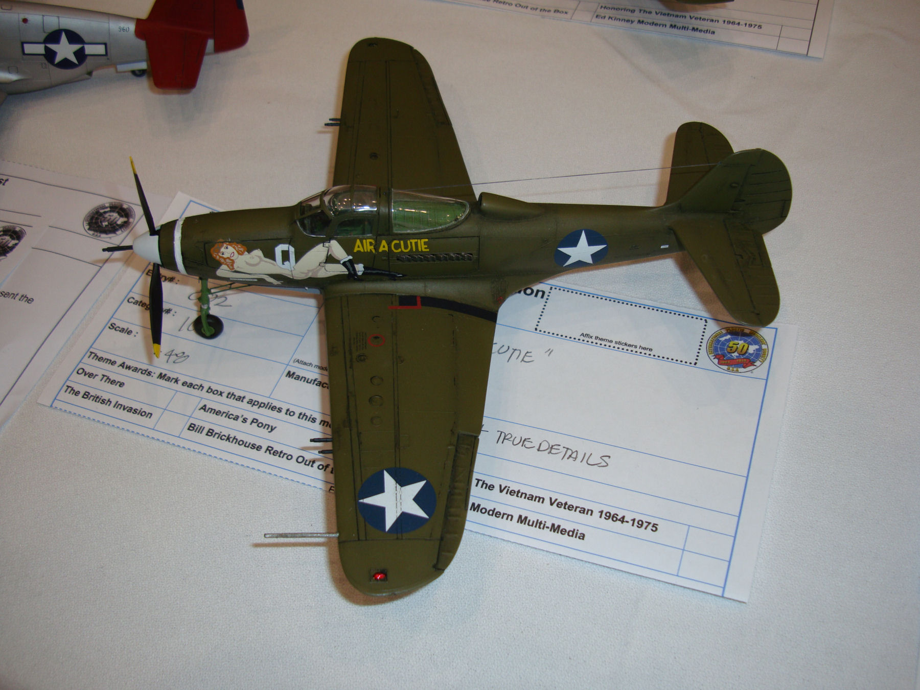 IPMS/USA National Convention 2014 Contest Room Photo 103