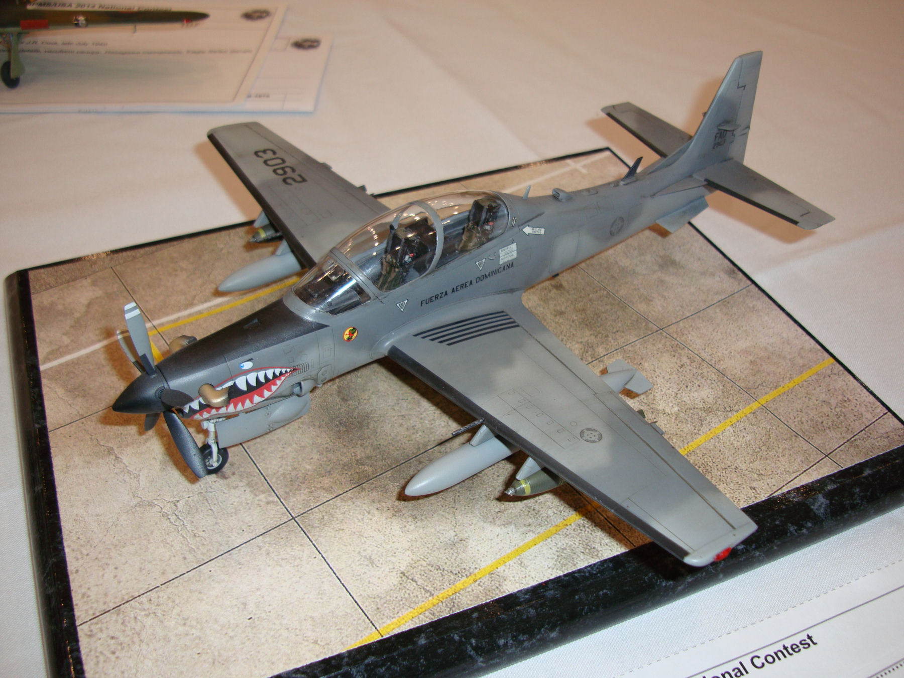 IPMS/USA National Convention 2014 Contest Room Photo 138