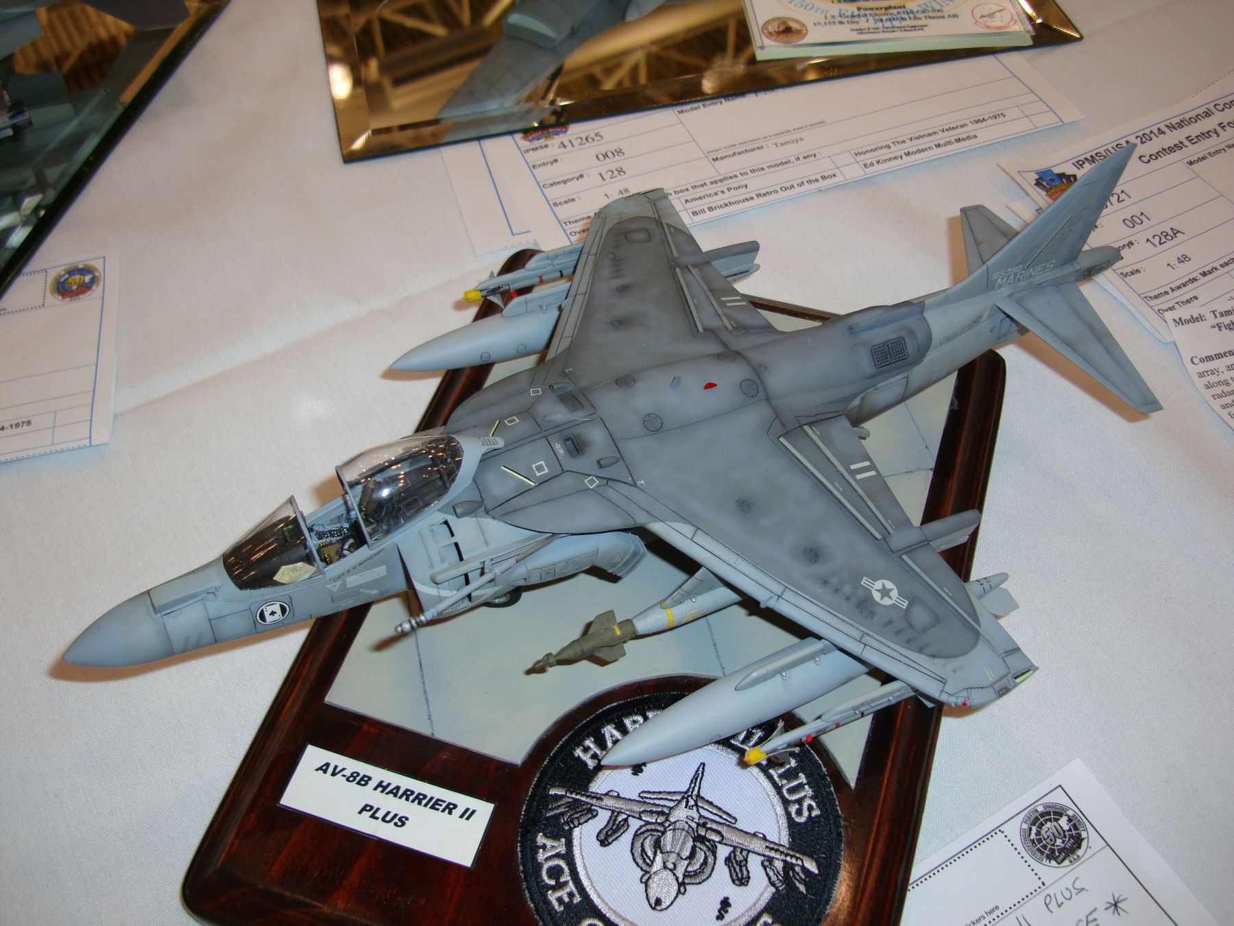 IPMS/USA National Convention 2014 Contest Room Photo 213