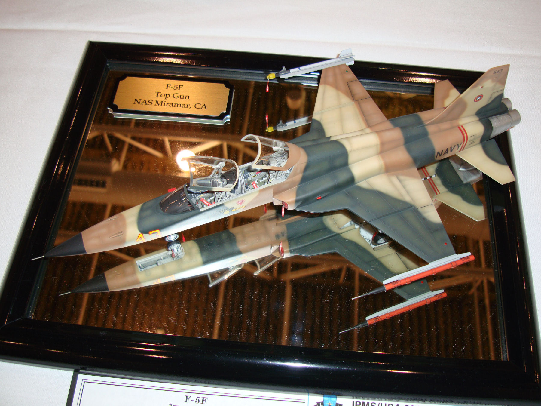 IPMS/USA National Convention 2014 Contest Room Photo 230