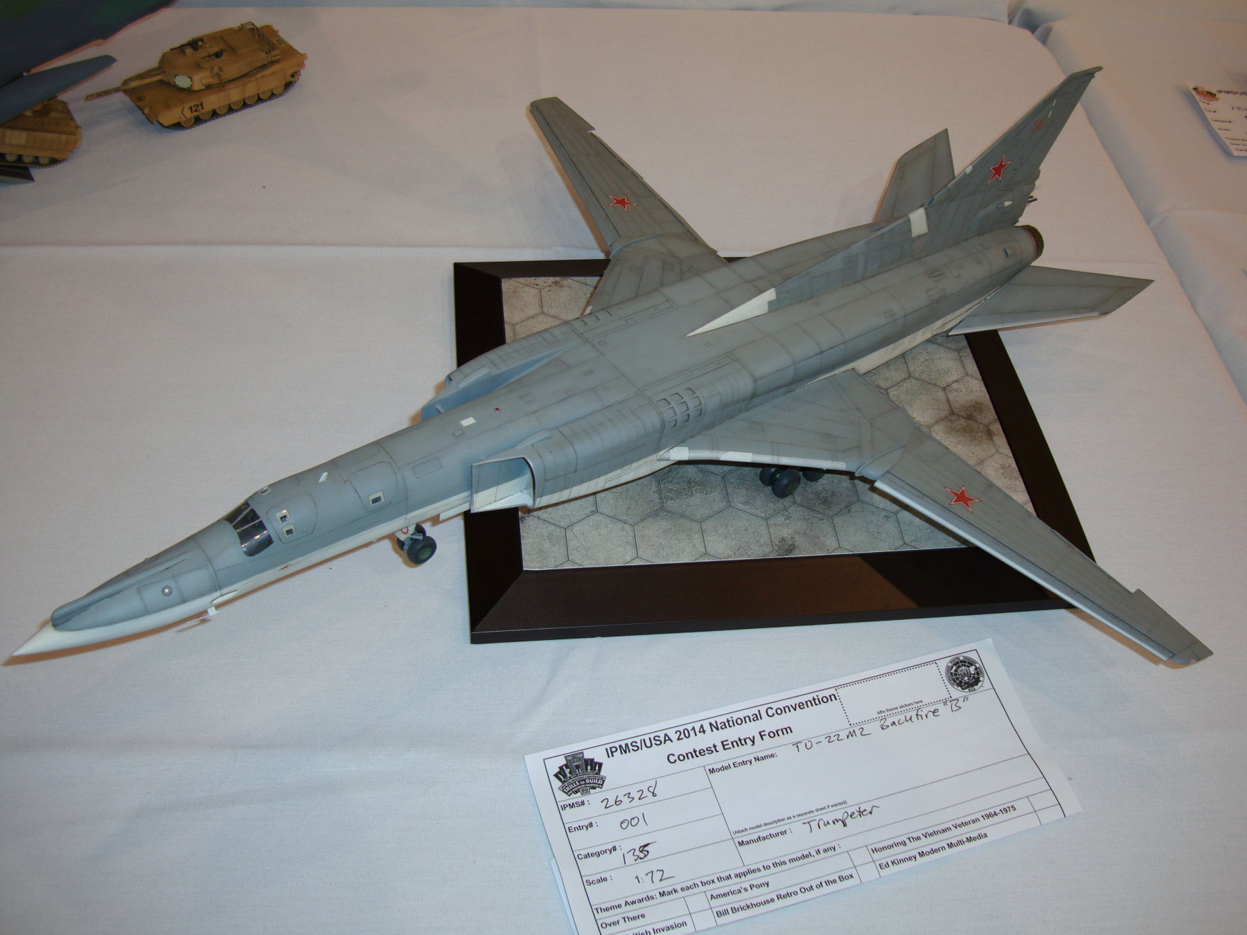IPMS/USA National Convention 2014 Contest Room Photo 260