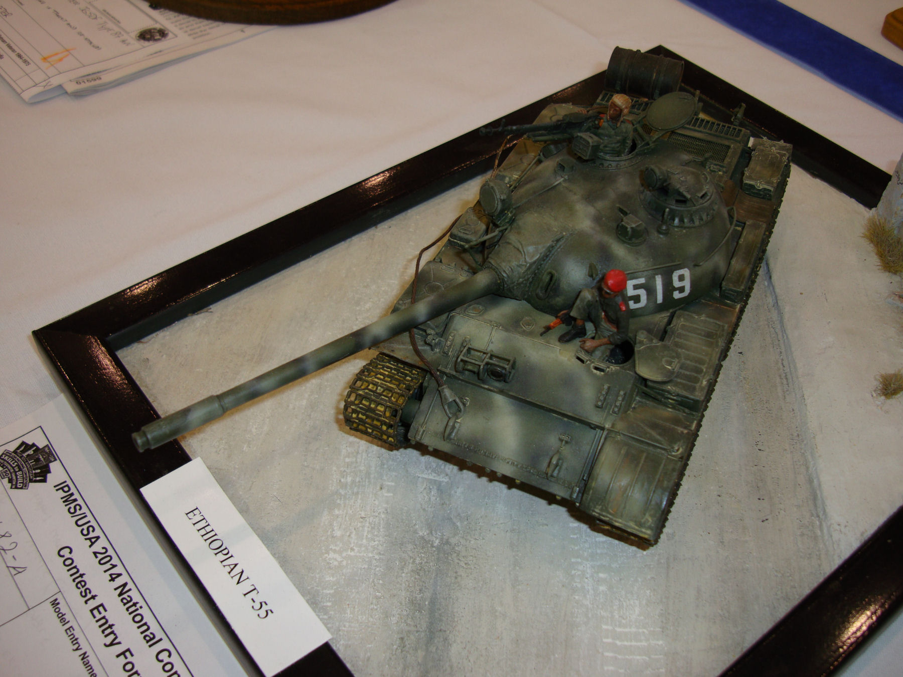 IPMS/USA National Convention 2014 Contest Room Photo 462