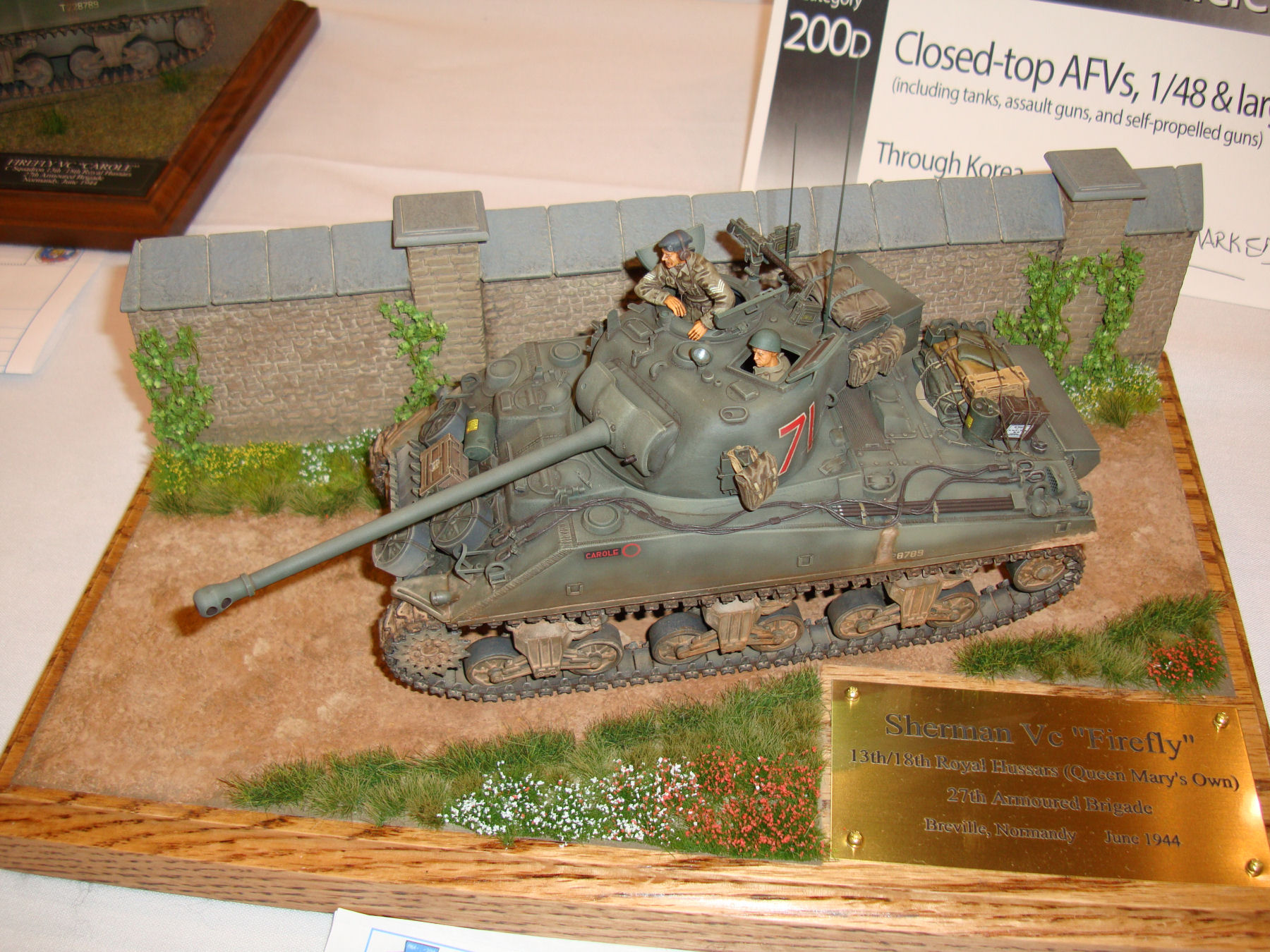 IPMS/USA National Convention 2014 Contest Room Photo 477