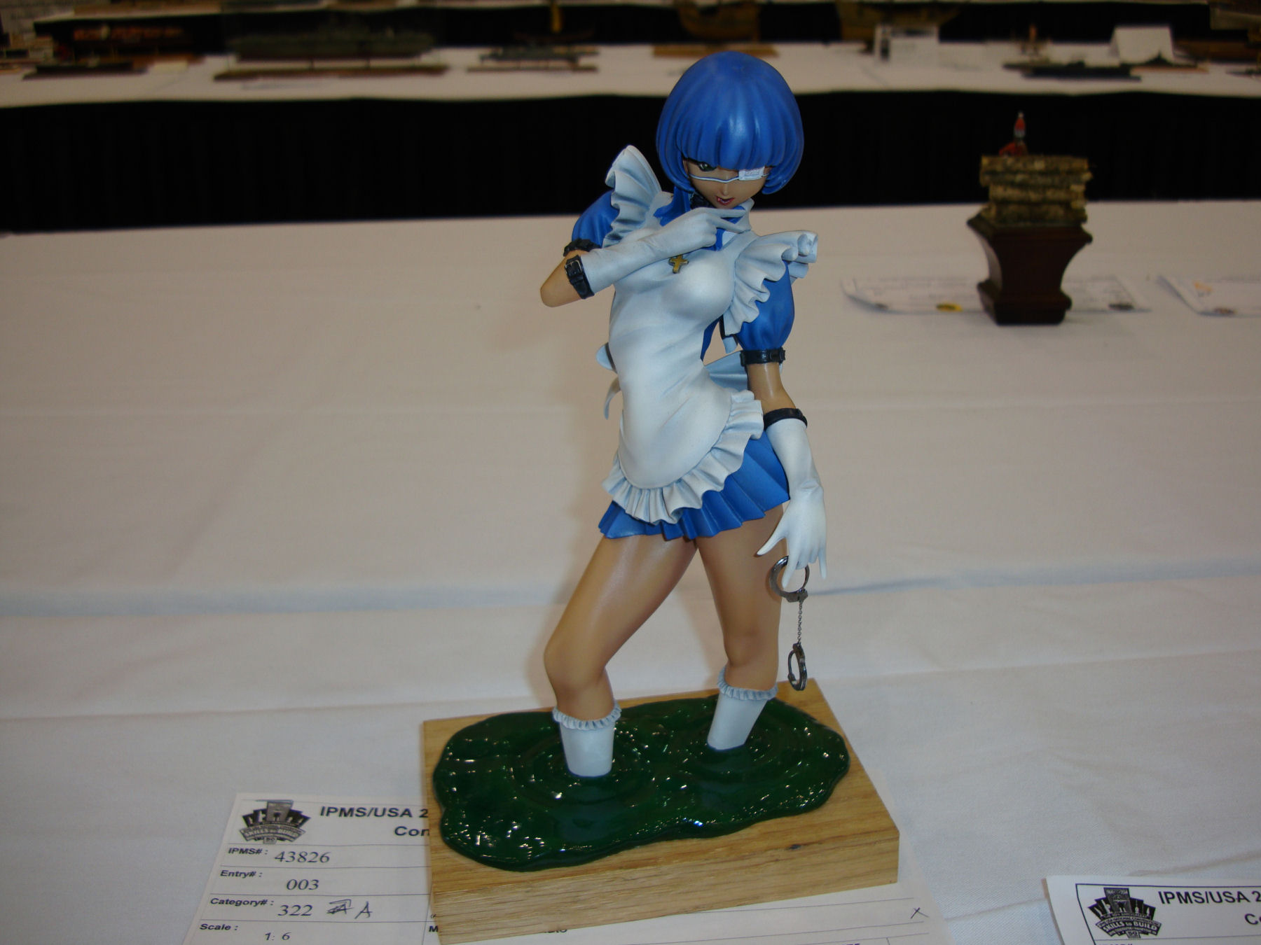 IPMS/USA National Convention 2014 Contest Room Photo 487