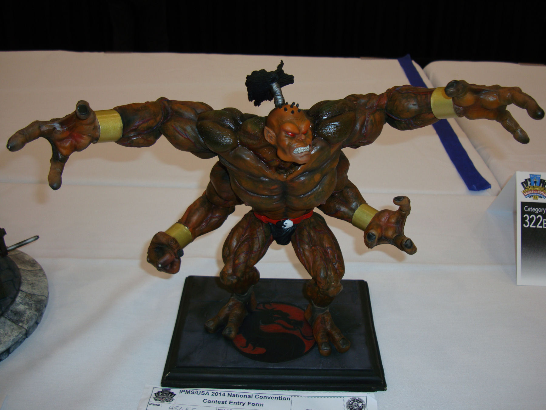 IPMS/USA National Convention 2014 Contest Room Photo 489