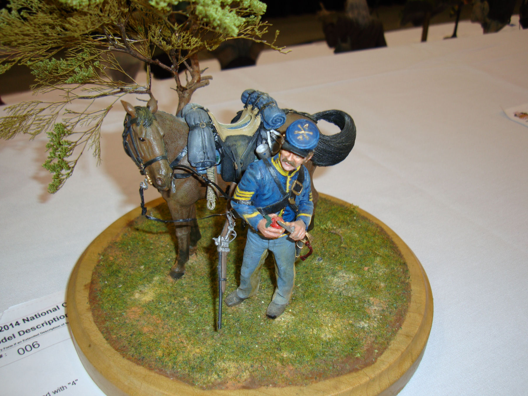 IPMS/USA National Convention 2014 Contest Room Photo 501