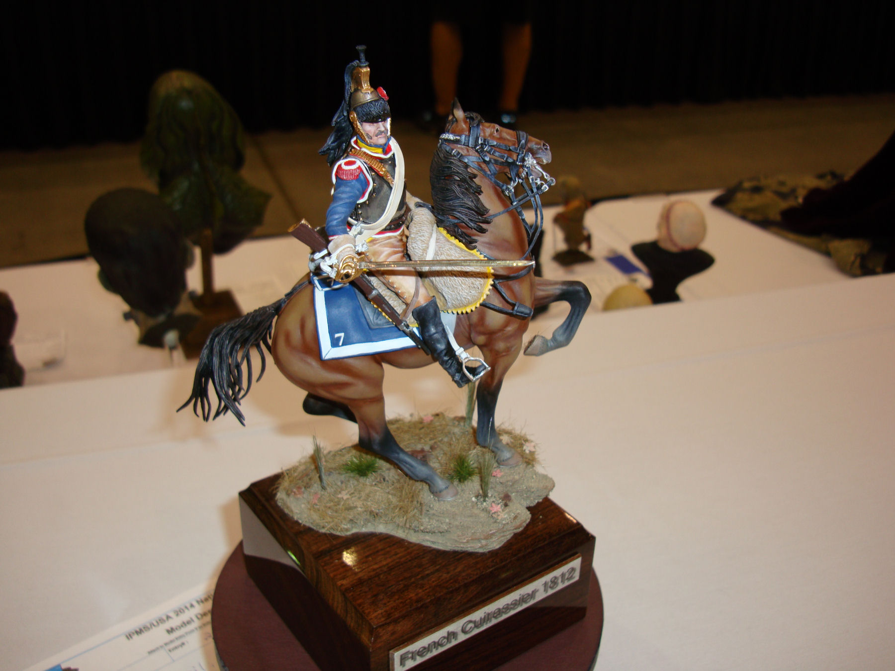 IPMS/USA National Convention 2014 Contest Room Photo 502