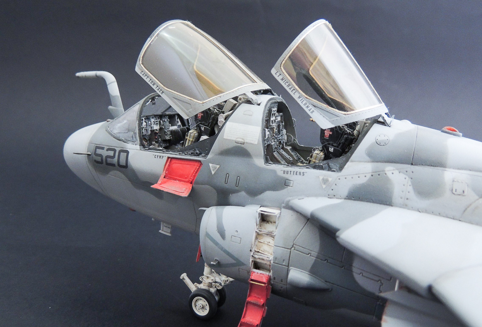 Kinetic Models/Lucky Model Contest 2014 - 1/48 EA-6B Prowler Image A016_03