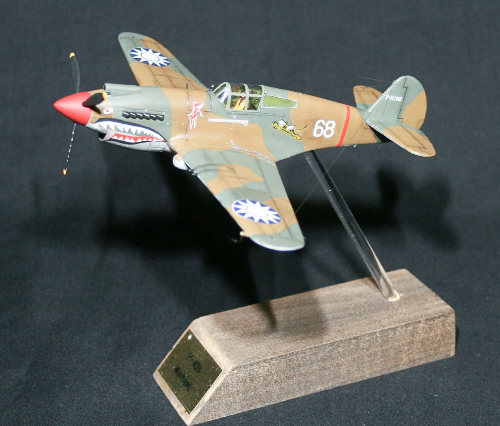 MRC/Academy Contest 2013 - 1/72 P-40B Tomahawk Image A028_02