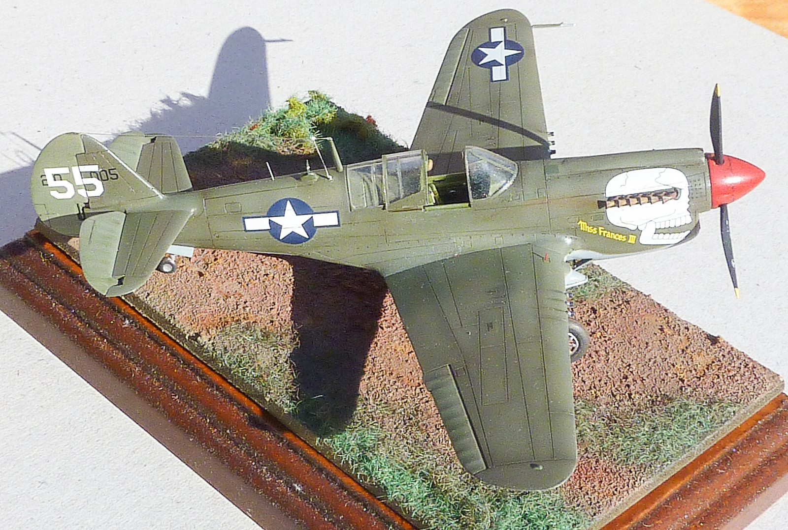 MRC/Academy Contest 2013 - 1/72 P-40N-5 Warhawk Image A032_01